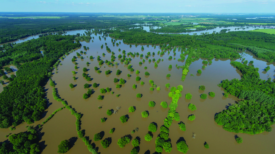 Using nature to reduce flooding. - HD Services Ltd