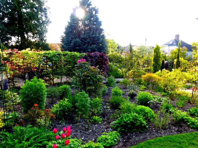 How your garden can save money on your utility bills.