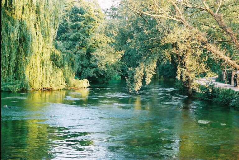 Southern Water faces private prosecution for polluting iconic chalk stream (Oceanographic Magazine)