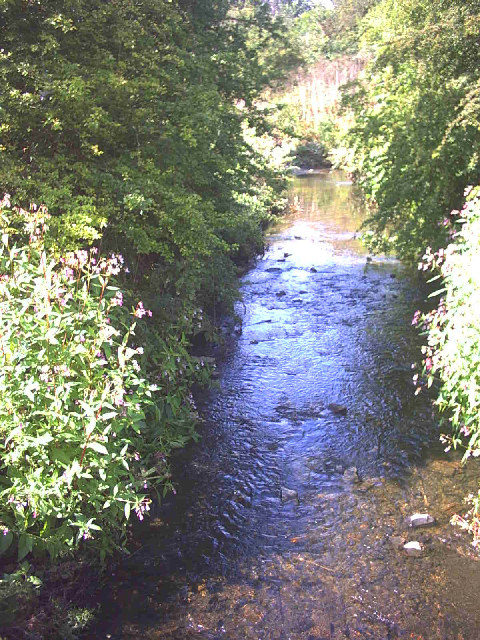 South East Rivers Trust completes major project for World Wetlands Day